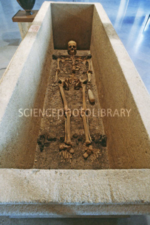 Ancient Greek Skeleton