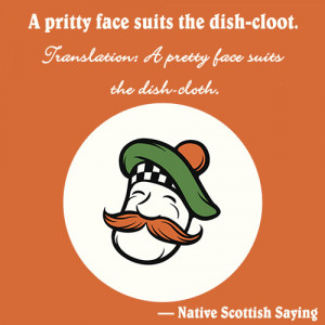 pritty face suits the dish cloot translation a pretty face suits the