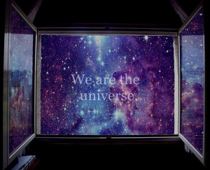 We are the universe