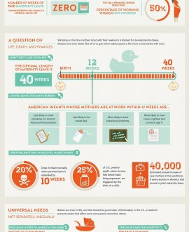 Maternity Leave Statistics Graph/Chart