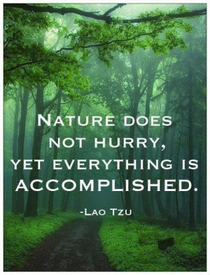 Nature does not hurry, yet everything is accomplished. - Lao Tzu ~ Day ...