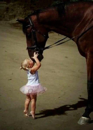 baby, horse, love
