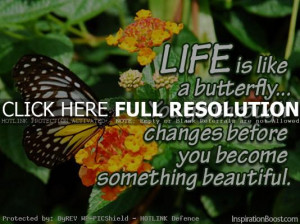 beautif facebook image beautiful life beautiful frien beauty quotes b