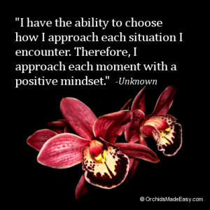 Orchid Quote