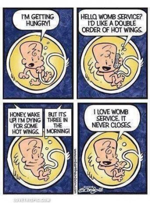 womb service funny quotes pregnancy quote funny quote ... | Pregnancy