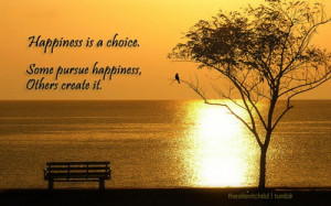 Happiness is a choice. Some pursue happiness, others it.