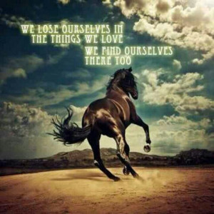 horse quotes