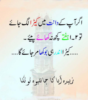 Funny Urdu Quotes Funny Urdu JOkes Poetry Shayari Sms Quotes Covers ...