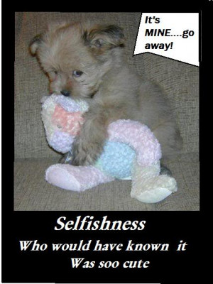 Selfishness 