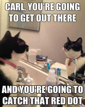 Get_Out_There_Carl_funny_picture