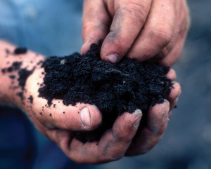 ... to that, I say “touch soil.” Flickr credit: NRCS Soil Health