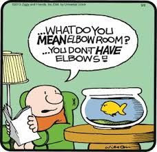 ziggy cartoon more cartoons capers funny paper favorite cartoons ziggy ...