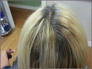 Professional Natural Hair Color Lines