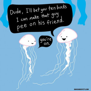 What jellyfish actually think about.