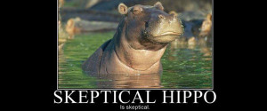 skeptical-hippo-is-skeptical.jpg
