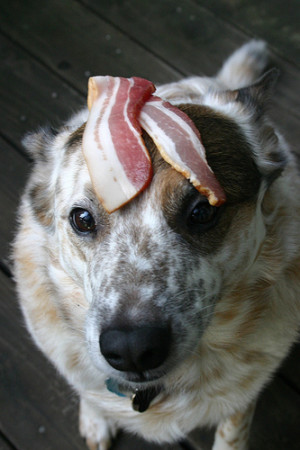 bacon brothers gangster