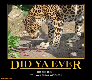 bugs-bunny-quote-bugs-bunny-mouse-leopard-meat-demotivational-posters ...