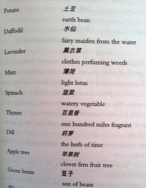 ... for in english or that have an interesting translation in chinese