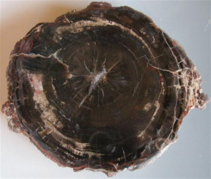 One The Cliffs Yellow Cat Area