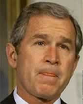 Funniest George Bush Quotes On Human Right