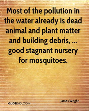 Most Of The Pollution In The Water Already Is Dead Animal