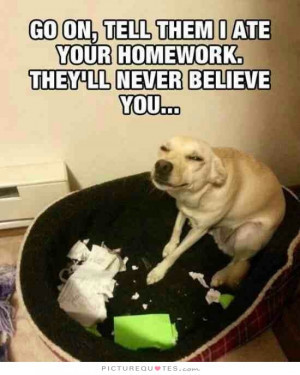 Funny Quotes Dog Quotes School Quotes Believe Quotes Funny Dog Quotes ...