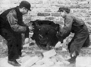 The man on the ground by the way is the man in the opening quote.