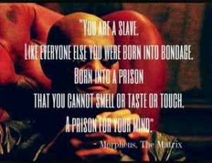 The matrix mental prison and slavery....