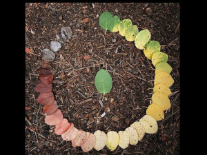 THE CIRCLE OF LIFE (LEAF)!!!!!1 random