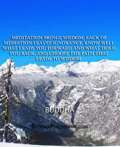 Meditation brings wisdom; lack of mediation leaves ignorance. Know ...