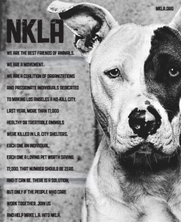 Best Friends Launches No Kill LA