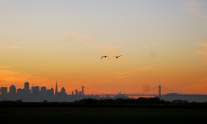 san-francisco-sunsets.jpg