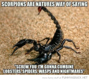 scorpions natures way screw you combine lobsters spiders wasps ...