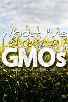 GM Foods & GMOs: What I've Learned - Nurse Loves Farmer More