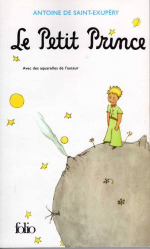 Standardized Testing according to The Little Prince