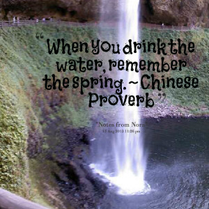 Quotes Picture: when you drink the water, remember the spring ...