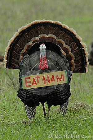 Funny Thanksgiving Turkey Eat Ham Protest Photo Picture