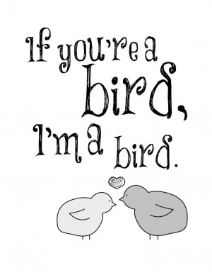 birds, cute, adorable, love, romance, if you're a bird i'm a bird, the ...