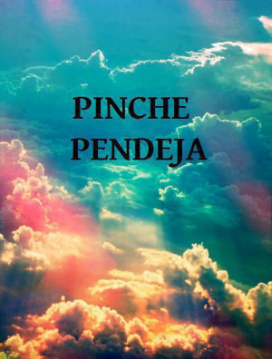 Chinga Tu Madre ¬¬ Muero de celos y que .|.