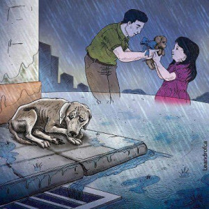 . Never shop for a puppy or kitten in a store that sells live pets ...