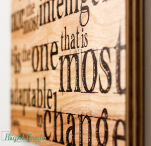 Inspirational Darwin Wall Quote Print on Wood Grain Panels ...