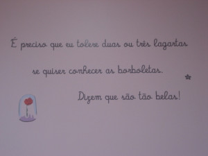 beautiful, flower, le petit prince, pink, quote, separet with comma ...