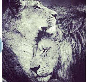 Every king needs his queen