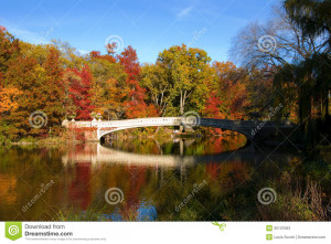 United States New York City