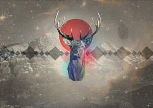 Sheila wend, collage, deer, galaxy, hipster image on Favim