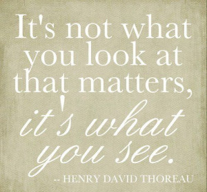 it's not what you look at that matters