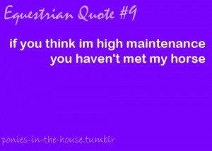 show jumping quotes