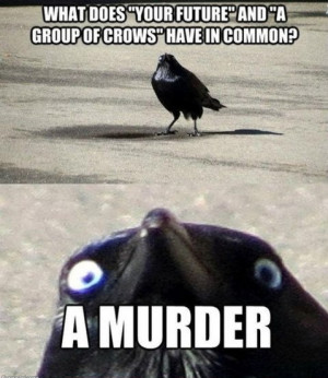 funny-picture-crow-creepy-murder