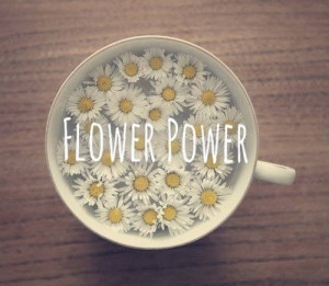 ... tags for this image include: power, flower, , cup and daisies