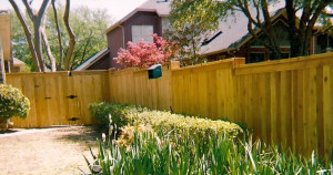 Privacy Fences